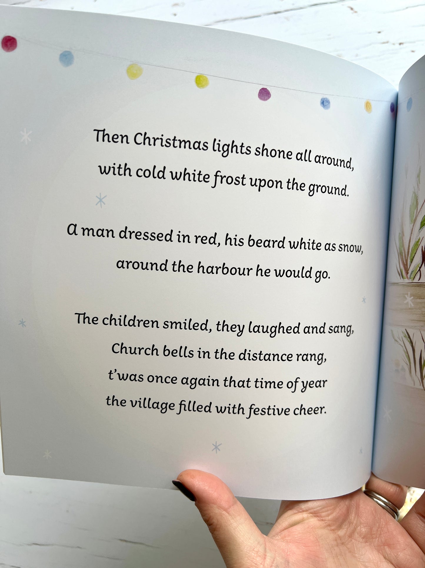 The Charlestown Robin, a children's storybook